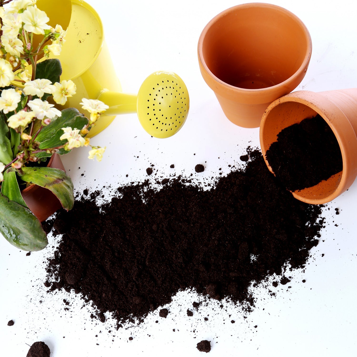 BlackRoot VermiSoil BlackRoot VermiSoil